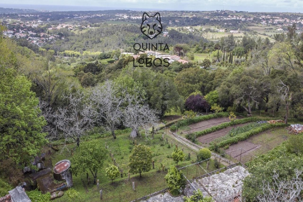 Quinta Dos Lobos Boutique Hotel - Nature Experience Σίντρα Εξωτερικό φωτογραφία