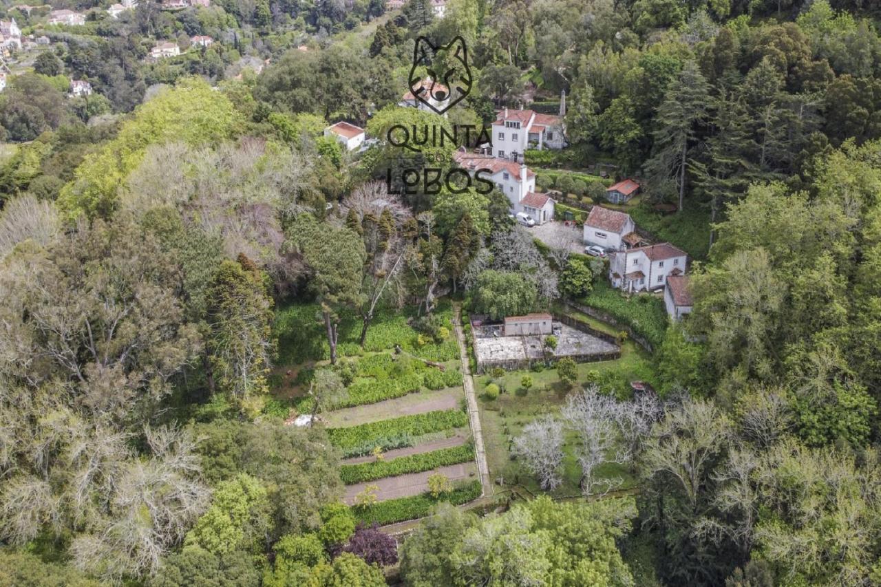 Quinta Dos Lobos Boutique Hotel - Nature Experience Σίντρα Εξωτερικό φωτογραφία